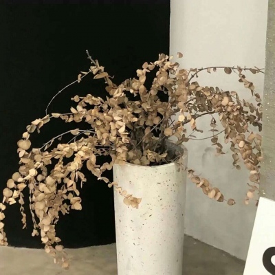 兽设暗黑风格设计福瑞群